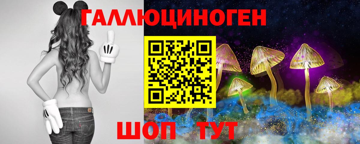 Псилоцибиновые грибы Cubensis  Вход с VPN  наркота  Балашов 